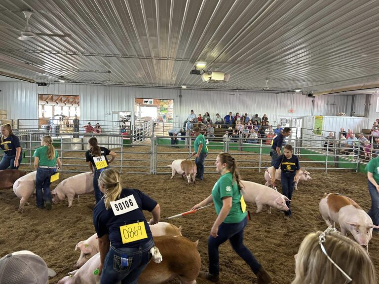 Competitions The Mighty Howard County Fair