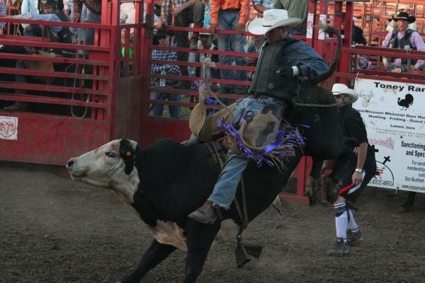 rodeo-bull-rider