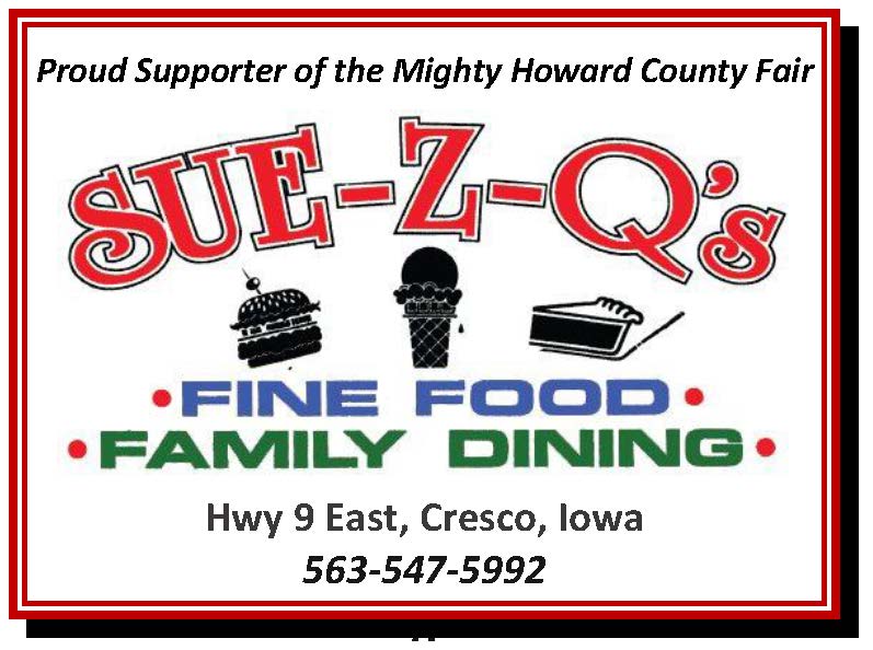 Sue Z Qs Sponsor Banner 3x4 2025 NEW