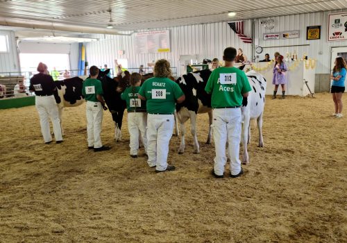 2022 Fair Dairy Show3