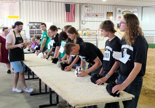 2022 Fair Rabbit Show