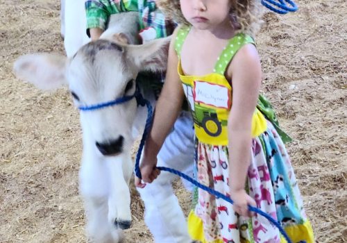 2023 Fair Bucket Calf girl
