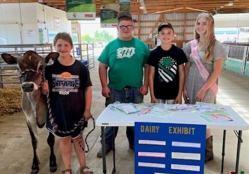 2023 Fair Dairy Wrist Band crew