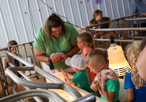 2023 Fair Reicks View farrowing 7